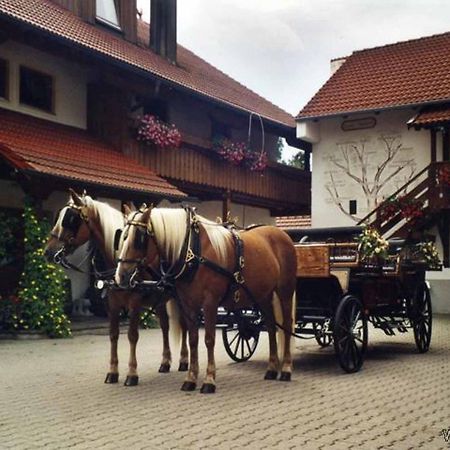 Appartementhaus "Haflinger Hof" Bad Füssing Exterior foto